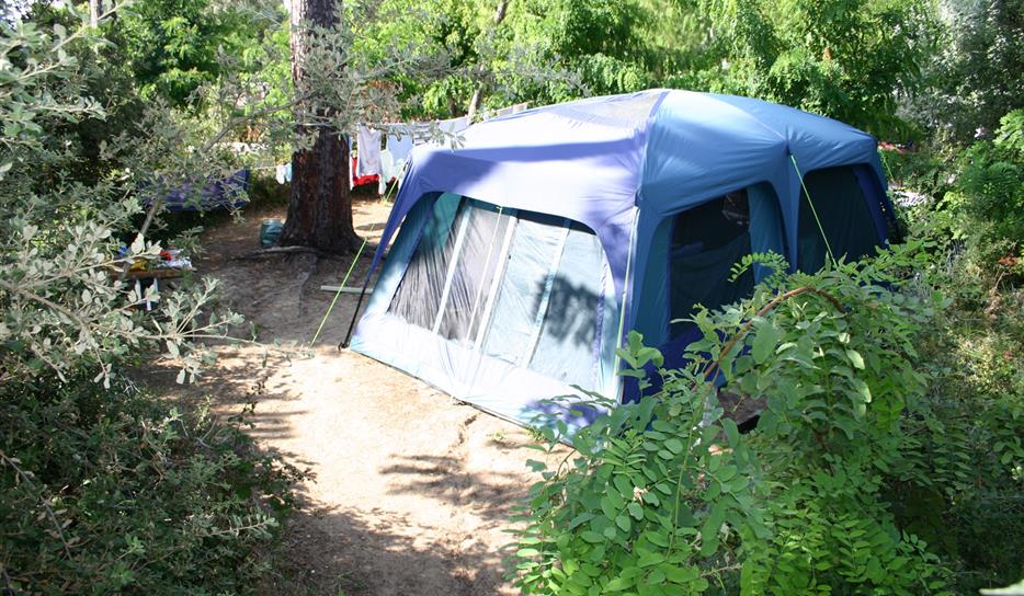 Camping Bois Soleil