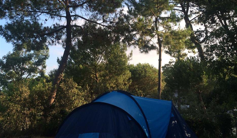 Camping Bois Soleil