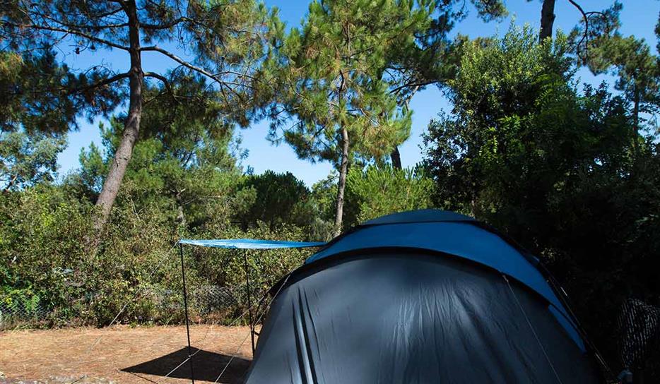 Camping Bois Soleil