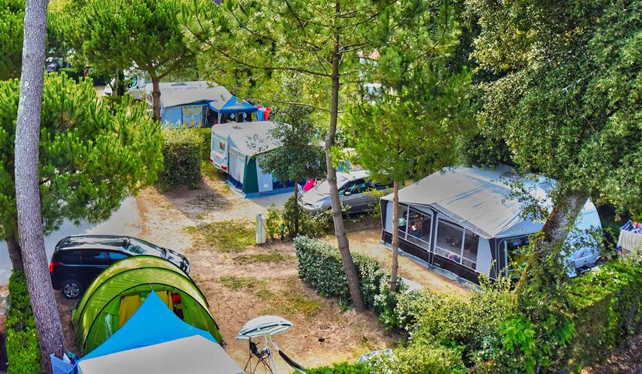 Camping Bois Soleil